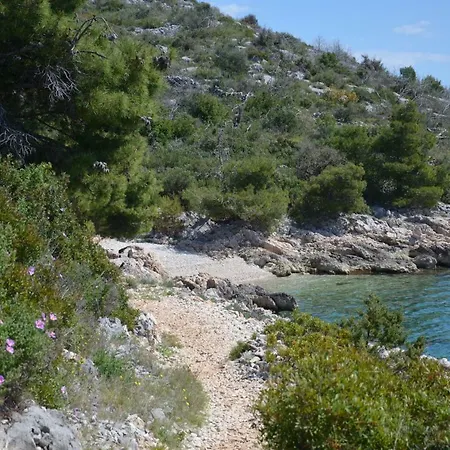 Jure Lejlighed *
