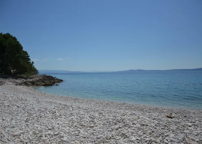 Jure * Τρογκίρ
